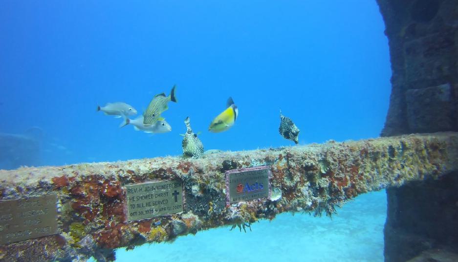 Scattered at sea image