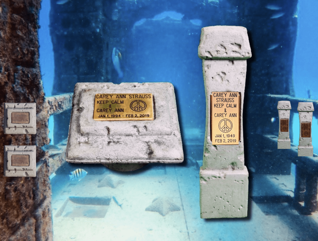 Standard Package image