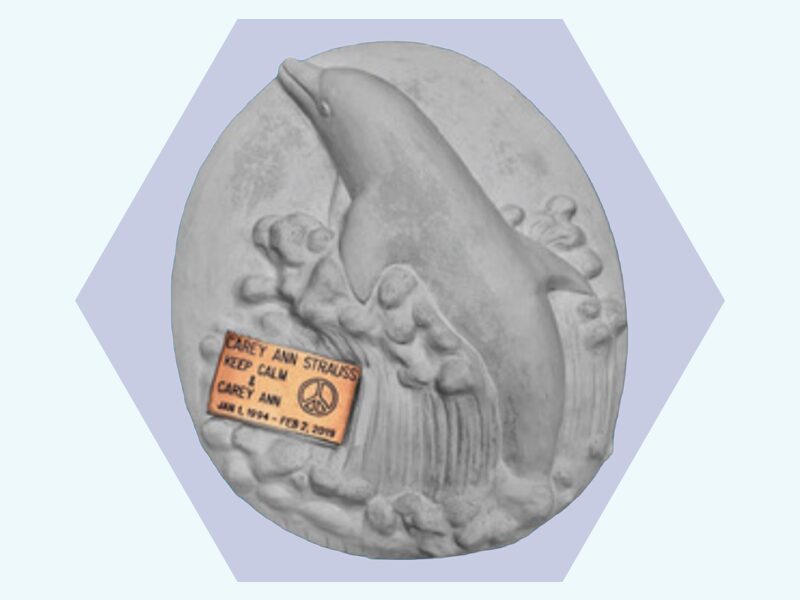 Dolphin memorial image