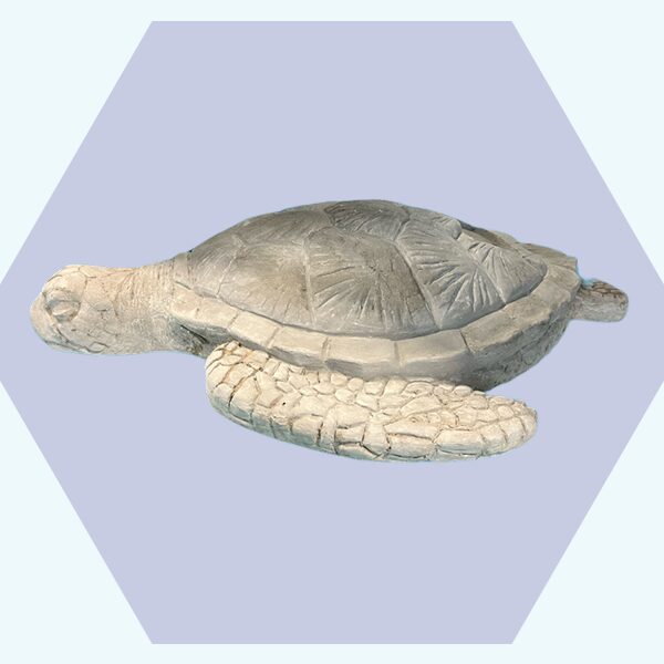 Limited Crown Placements