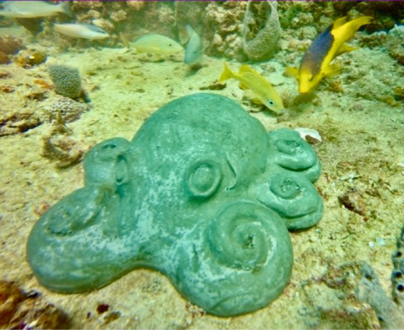 Octopus memorial image